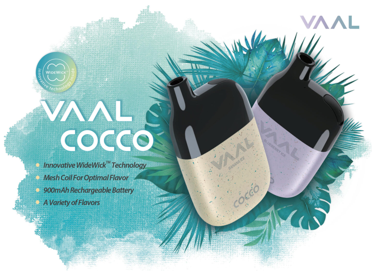 VAAL COCCO